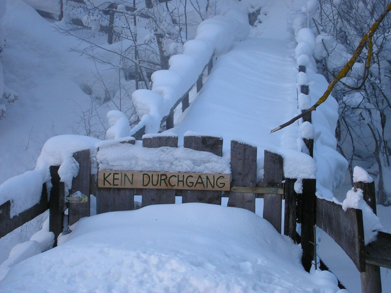 Winterwanderung (102)